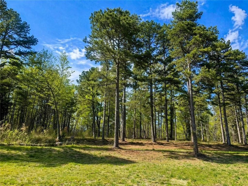 3 bedroom, 3 bathroom, 2,754 sq ft single family residence for sale at 575 Hardy Road, Martin, GA 30557 — photo 2