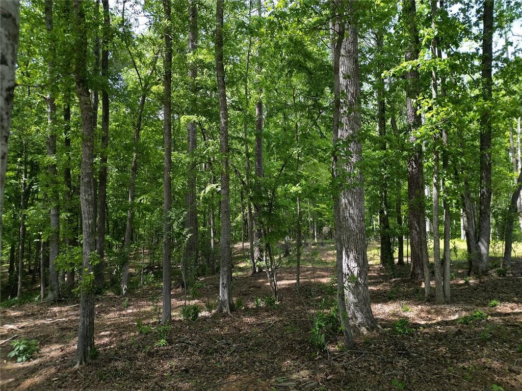 single family residence for sale at 1011 Epple Lane, Chattahoochee Hills, GA 30268 — photo 4
