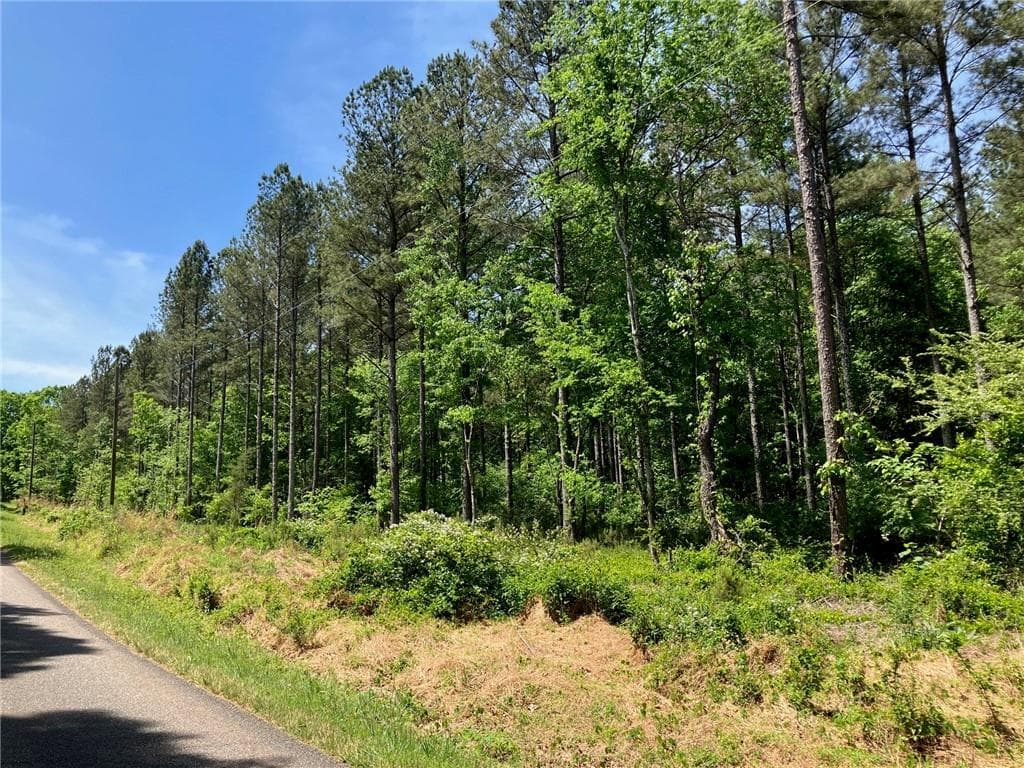 other for sale at 325 Rock Fence Road, Adairsville, GA 30103 — photo 4
