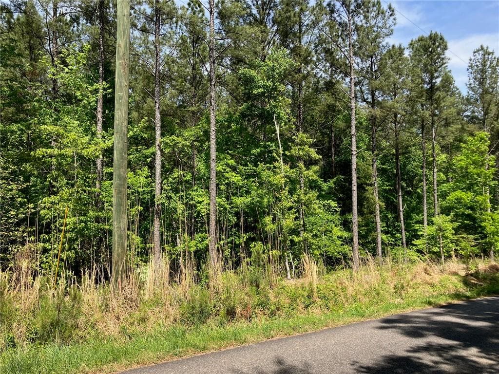 other for sale at 325 Rock Fence Road, Adairsville, GA 30103 — photo 5