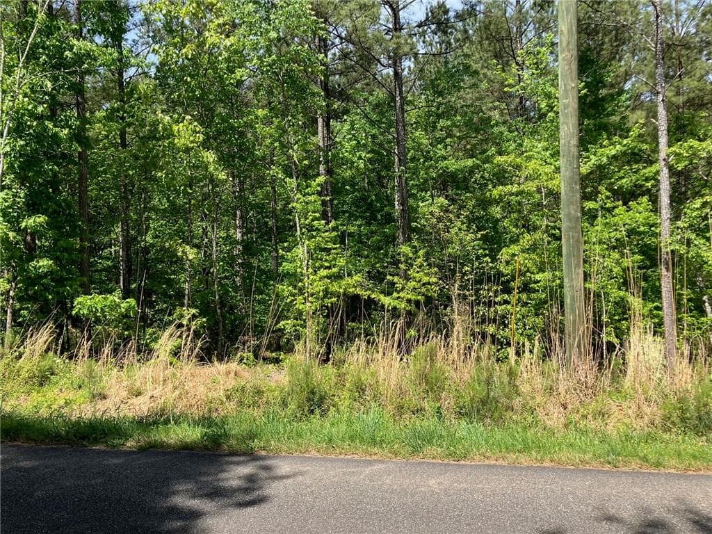 other for sale at 325 Rock Fence Road, Adairsville, GA 30103 — photo 6