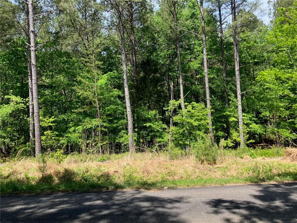 other for sale at 325 Rock Fence Road, Adairsville, GA 30103 — photo 7