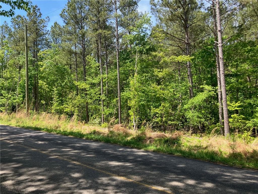 other for sale at 325 Rock Fence Road, Adairsville, GA 30103 — photo 8