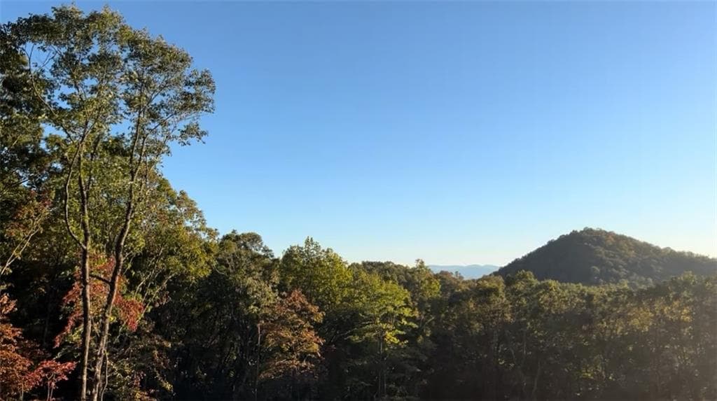 other for sale at 600 Kittatinny Drive, Mineral Bluff, GA 30559