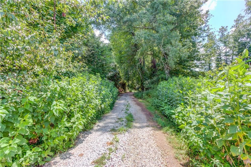 unimproved land for sale at 00 NW Jefferson Road, Statham, GA 30666 — photo 6
