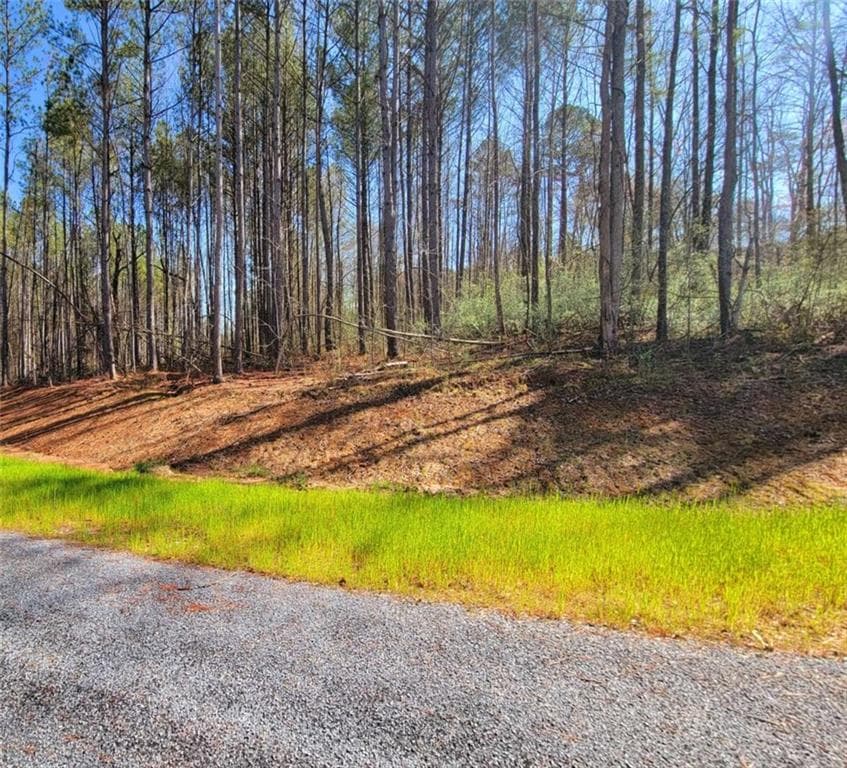 single family residence for sale at 68 Mountaingate Way, Ellijay, GA 30536 — photo 10
