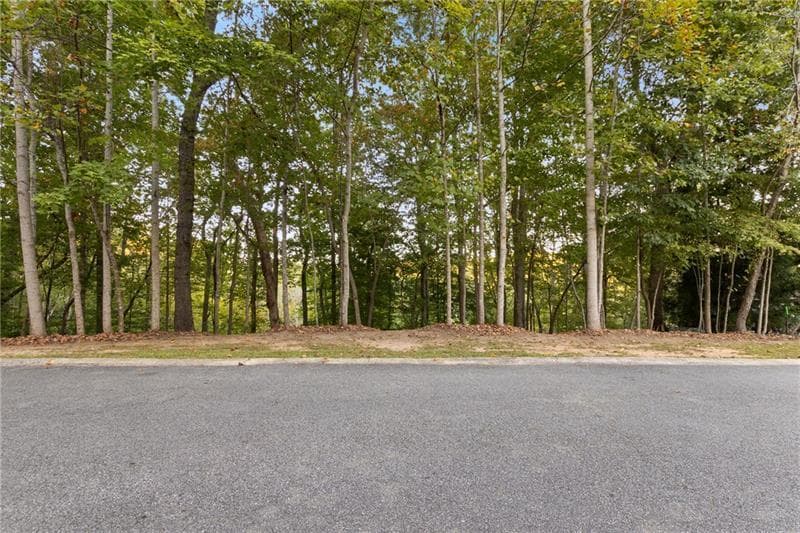 single family residence for sale at Lot 4 Fredericks Cv, Dawsonville, GA 30534 — photo 5