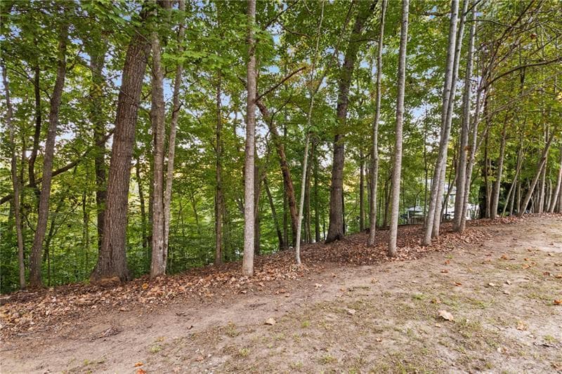 single family residence for sale at Lot 4 Fredericks Cv, Dawsonville, GA 30534 — photo 6