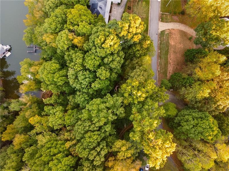 single family residence for sale at Lot 4 Fredericks Cv, Dawsonville, GA 30534 — photo 7