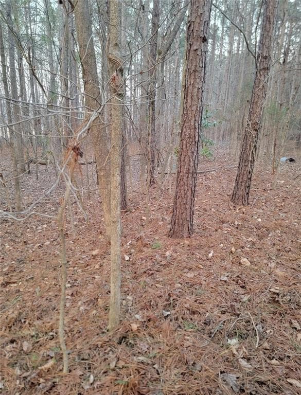 single family residence for sale at 0 North Creek Trail, Villa Rica, GA 30180 — photo 5