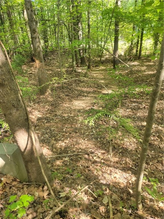 single family residence for sale at 0 North Creek Trail, Villa Rica, GA 30180 — photo 9