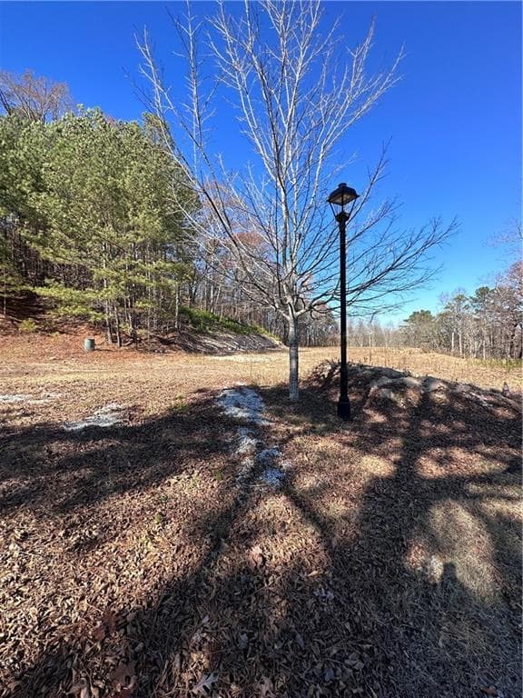 unimproved land for sale at 220 Beracah Walk, Atlanta, GA 30331 — photo 2