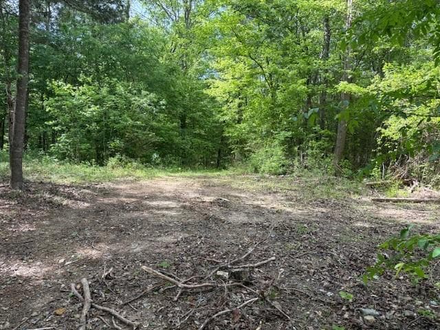 unimproved land for sale at 4003 Highway 411, Kingston, GA 30145 — photo 6