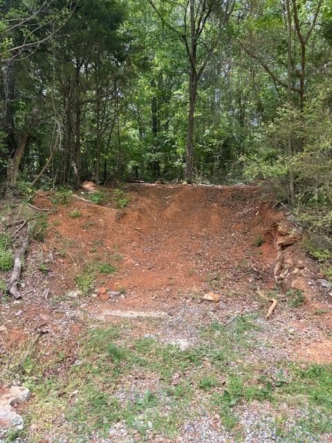 unimproved land for sale at 4003 Highway 411, Kingston, GA 30145 — photo 7