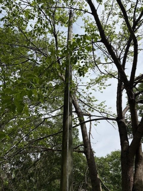 unimproved land for sale at 4003 Highway 411, Kingston, GA 30145 — photo 8