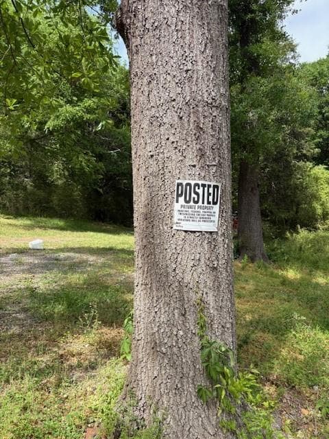 unimproved land for sale at 4003 Highway 411, Kingston, GA 30145 — photo 9
