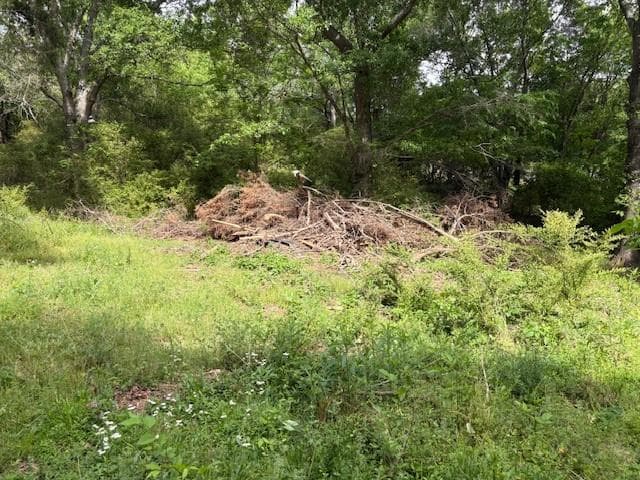 unimproved land for sale at 4003 Highway 411, Kingston, GA 30145 — photo 10