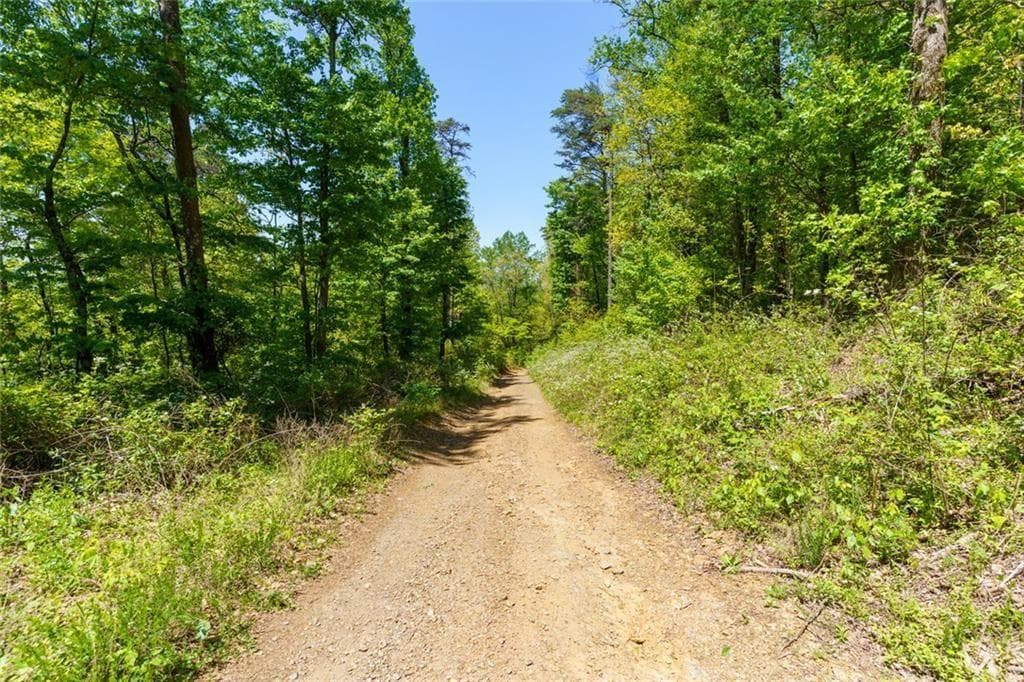 unimproved land for sale at 0 Fire Tower Road, Jasper, GA 30143