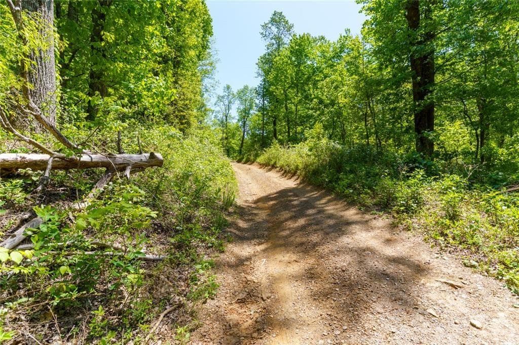 unimproved land for sale at 0 Fire Tower Road, Jasper, GA 30143 — photo 2