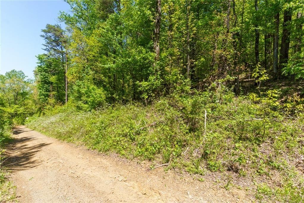 unimproved land for sale at 0 Fire Tower Road, Jasper, GA 30143 — photo 3