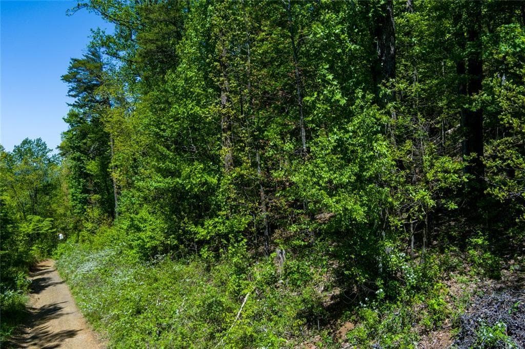 unimproved land for sale at 0 Fire Tower Road, Jasper, GA 30143 — photo 4