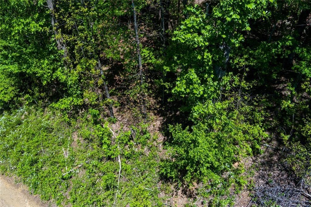 unimproved land for sale at 0 Fire Tower Road, Jasper, GA 30143 — photo 5