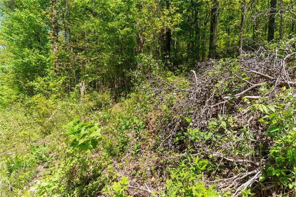 unimproved land for sale at 0 Fire Tower Road, Jasper, GA 30143 — photo 6