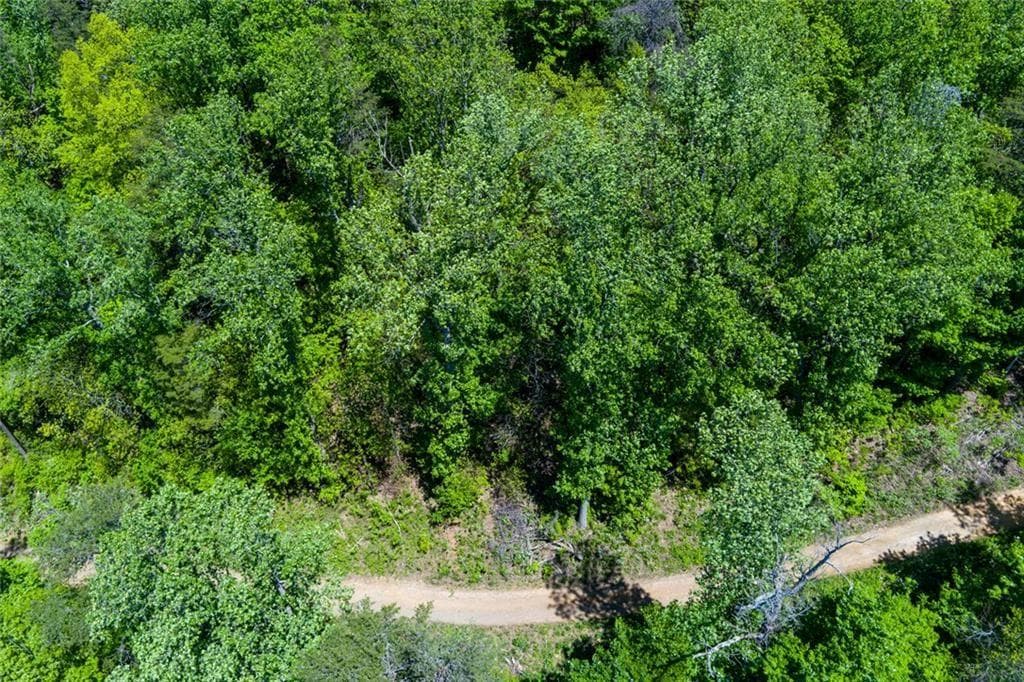 unimproved land for sale at 0 Fire Tower Road, Jasper, GA 30143 — photo 7