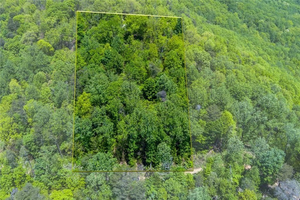 unimproved land for sale at 0 Fire Tower Road, Jasper, GA 30143 — photo 8