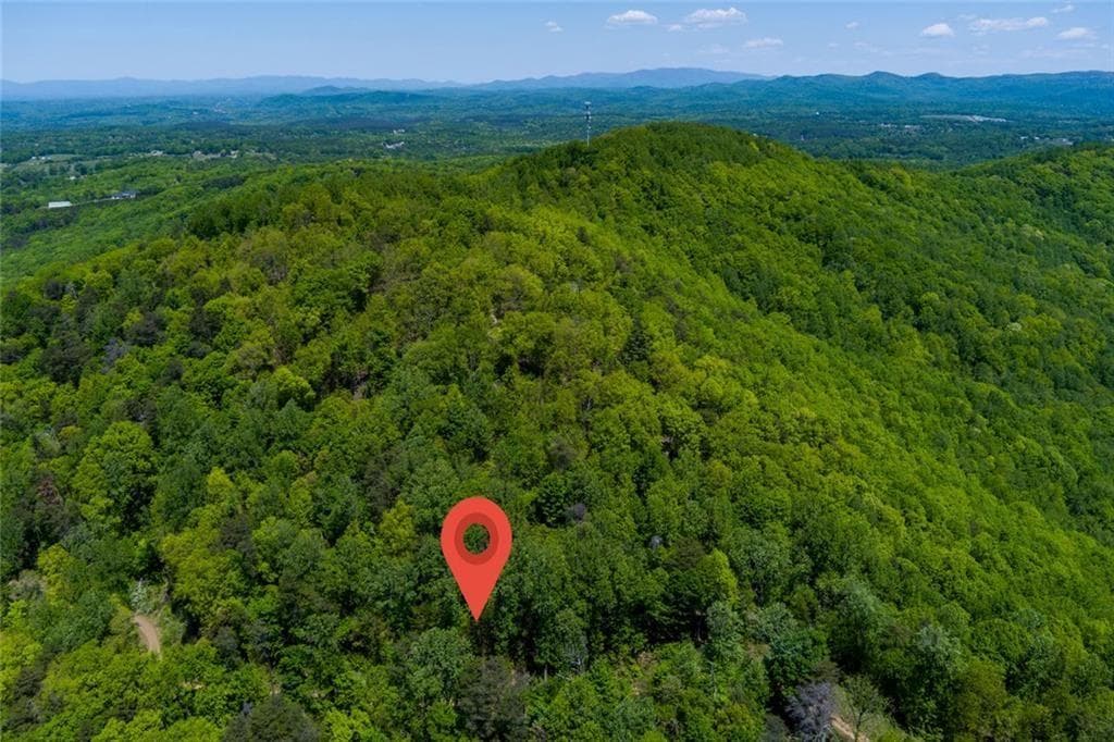 unimproved land for sale at 0 Fire Tower Road, Jasper, GA 30143 — photo 9