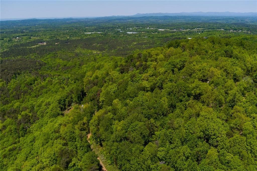 unimproved land for sale at 0 Fire Tower Road, Jasper, GA 30143 — photo 10