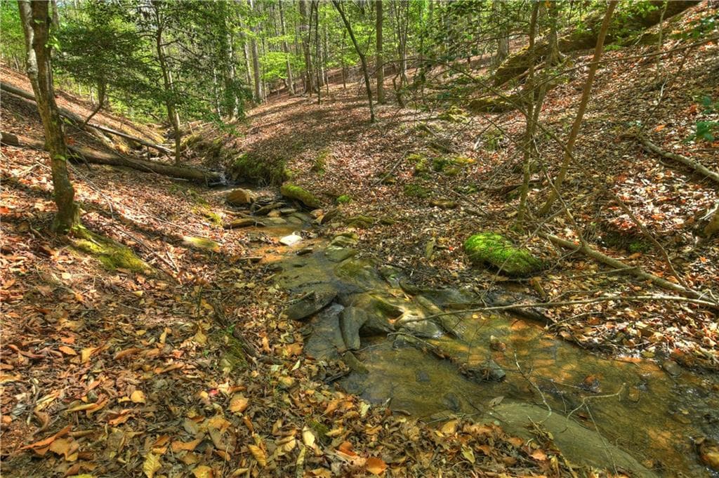 3 bedroom, 3 bathroom, 2,788 sq ft single family residence for sale at 245 Moonstone Drive, Ellijay, GA 30540 — photo 9