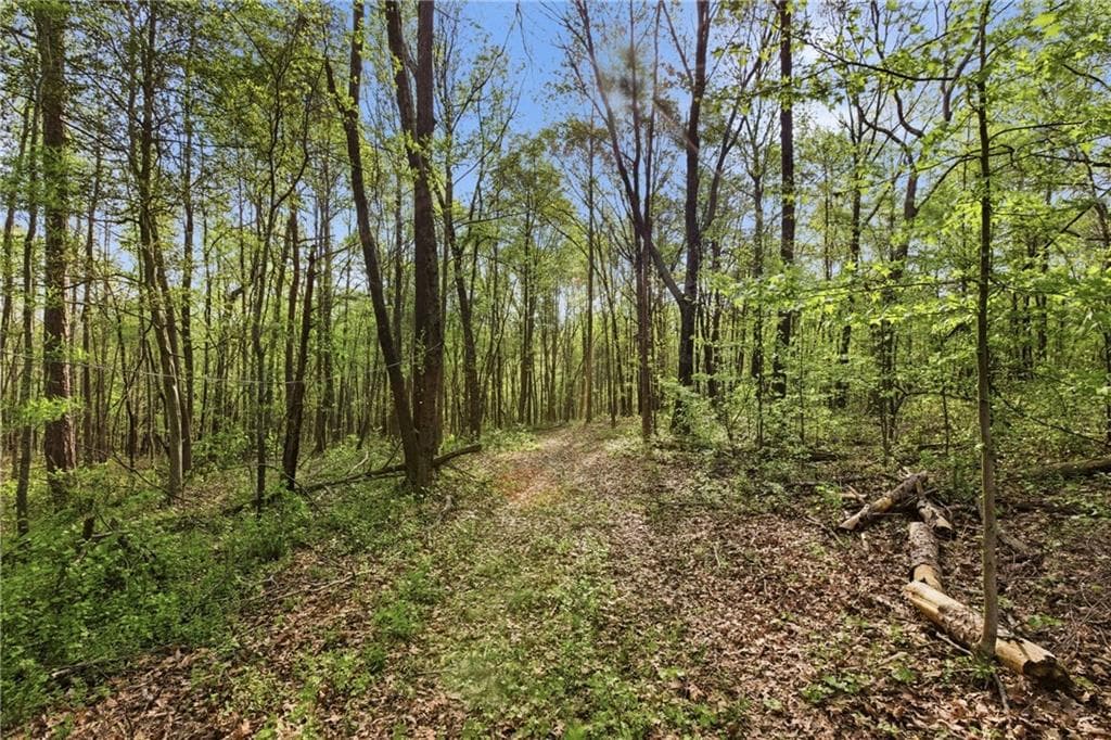 2 bedroom, 2 bathroom single family residence for sale at 6668 Belton Bridge Road, Lula, GA 30554 — photo 5