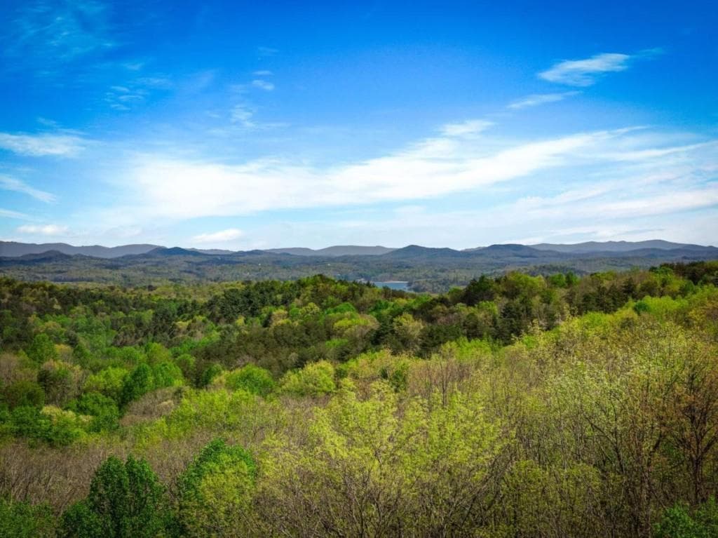 4 bedroom, 4 bathroom, 2,240 sq ft single family residence for sale at 245 Davenport Mountain Road 3, Blue Ridge, GA 30513 — photo 2