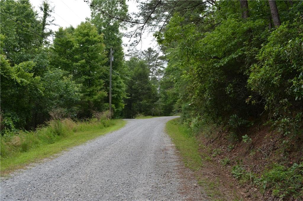 other for sale at 20 Goldmine Drive, Ellijay, GA 30536 — photo 4