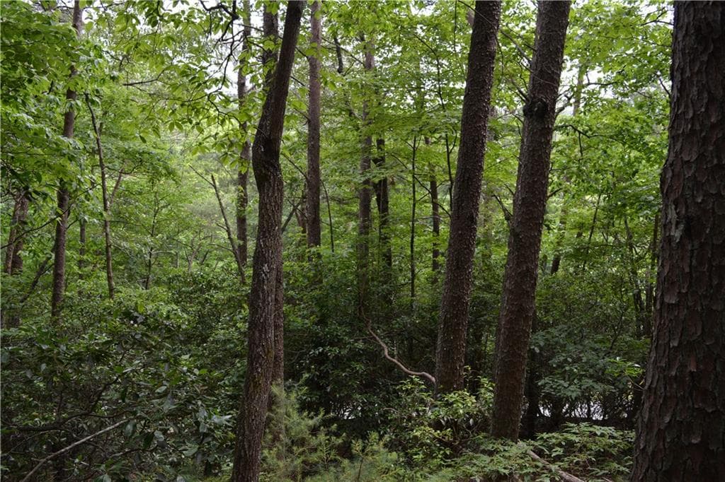 other for sale at 20 Goldmine Drive, Ellijay, GA 30536 — photo 6