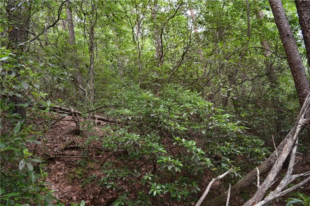 other for sale at 20 Goldmine Drive, Ellijay, GA 30536 — photo 7