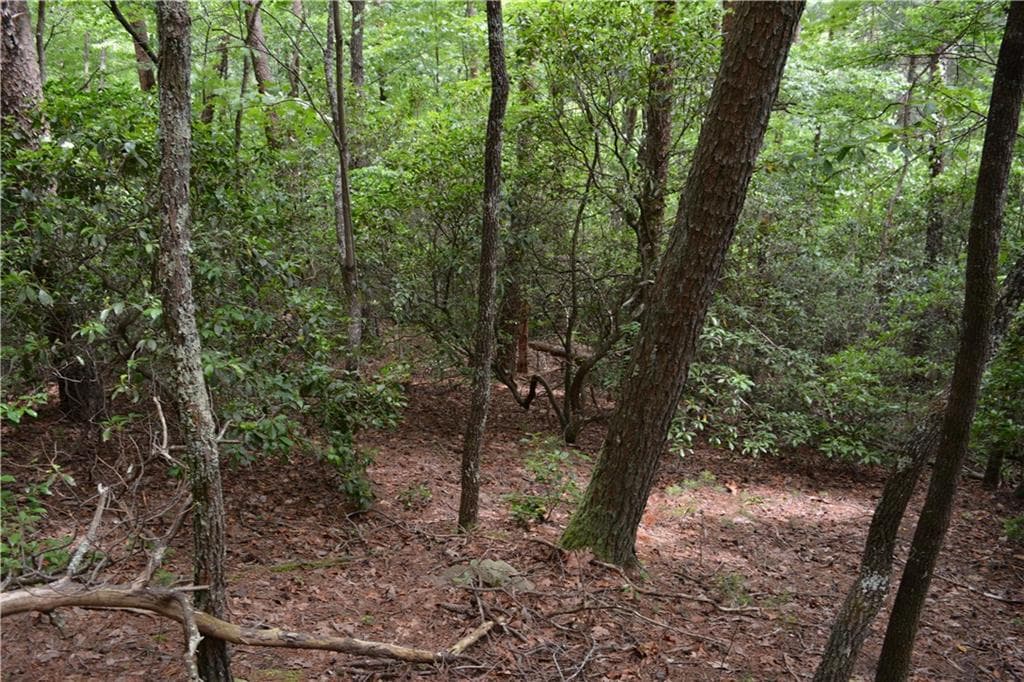 other for sale at 20 Goldmine Drive, Ellijay, GA 30536 — photo 8