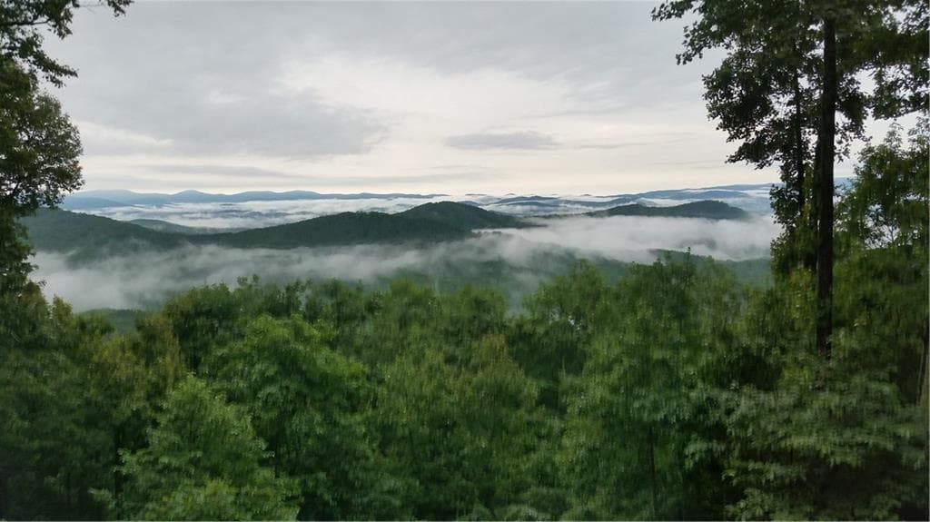 other for sale at 20 Goldmine Drive, Ellijay, GA 30536 — photo 9