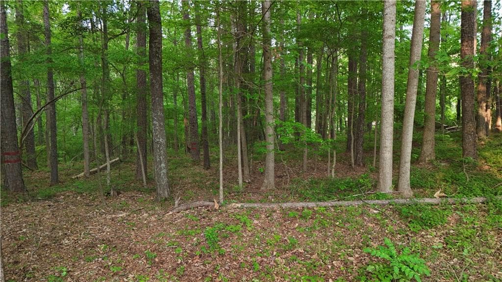 unimproved land for sale at 5158 W Holiday Court, Acworth, GA 30102 — photo 2