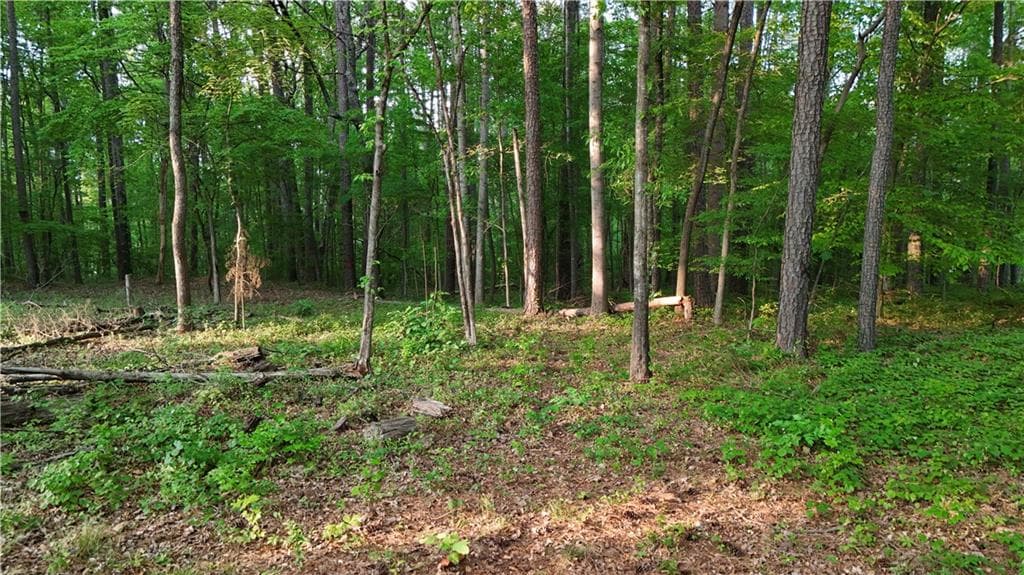 unimproved land for sale at 5158 W Holiday Court, Acworth, GA 30102 — photo 3