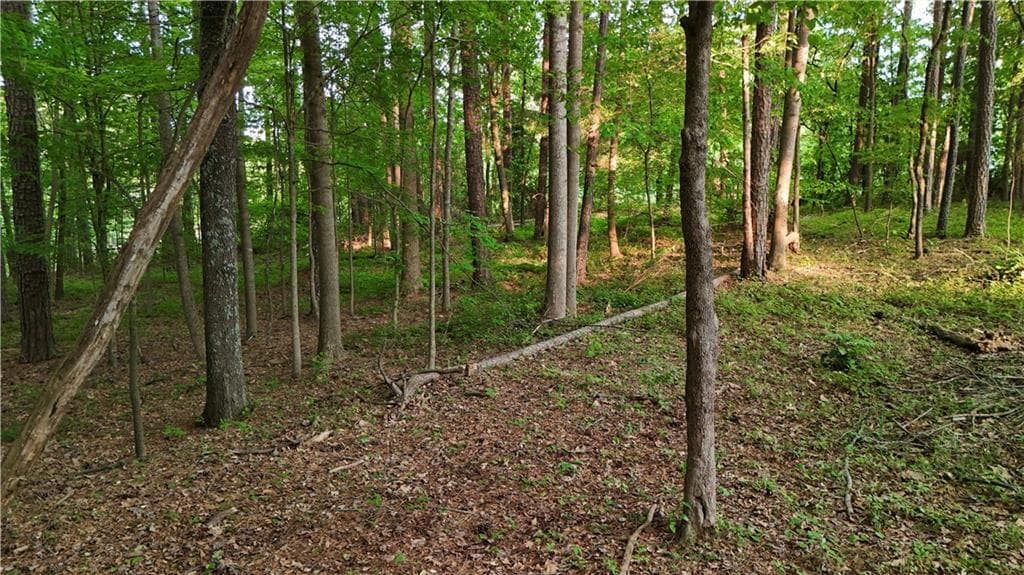 unimproved land for sale at 5158 W Holiday Court, Acworth, GA 30102 — photo 4