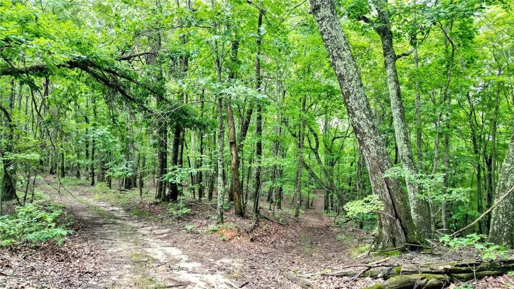 unimproved land for sale at Trt B Cascade Drive, Jasper, GA 30143 — photo 2