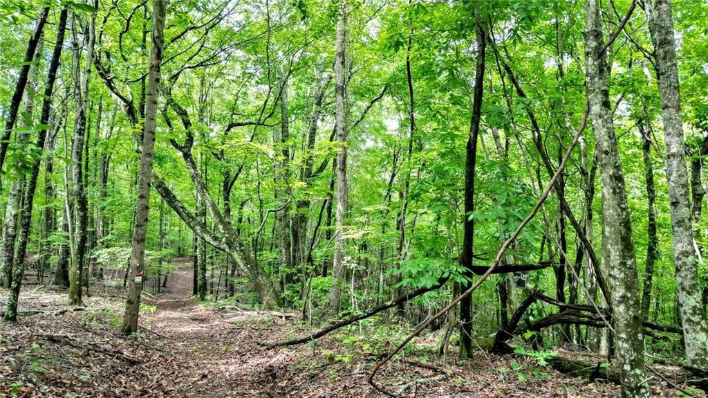 unimproved land for sale at Trt B Cascade Drive, Jasper, GA 30143 — photo 4