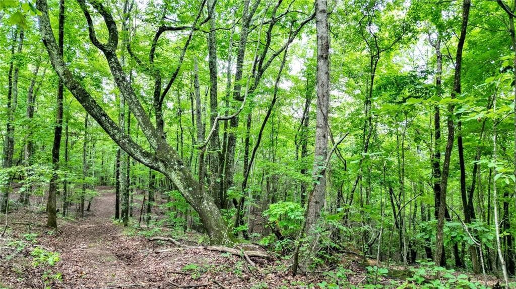 unimproved land for sale at Trt B Cascade Drive, Jasper, GA 30143 — photo 6