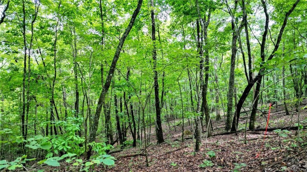 unimproved land for sale at Trt B Cascade Drive, Jasper, GA 30143 — photo 8