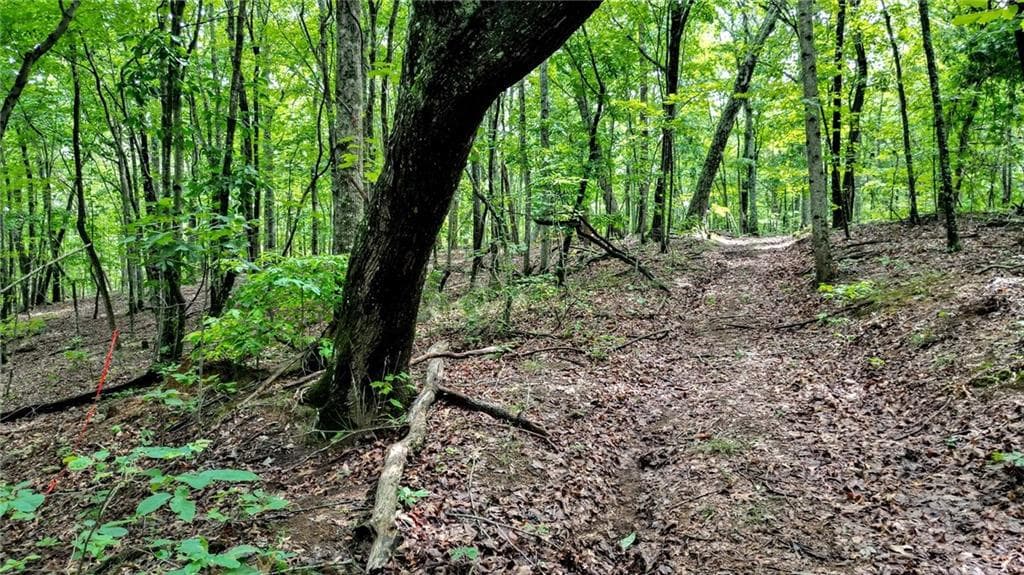 unimproved land for sale at Trt B Cascade Drive, Jasper, GA 30143 — photo 9