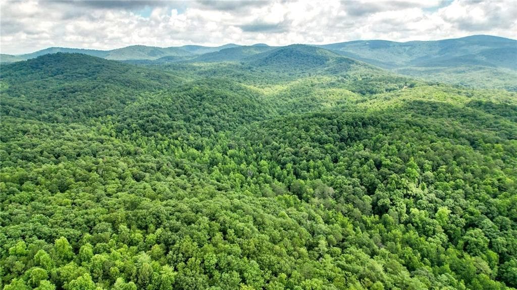 unimproved land for sale at Trt B Cascade Drive, Jasper, GA 30143 — photo 5