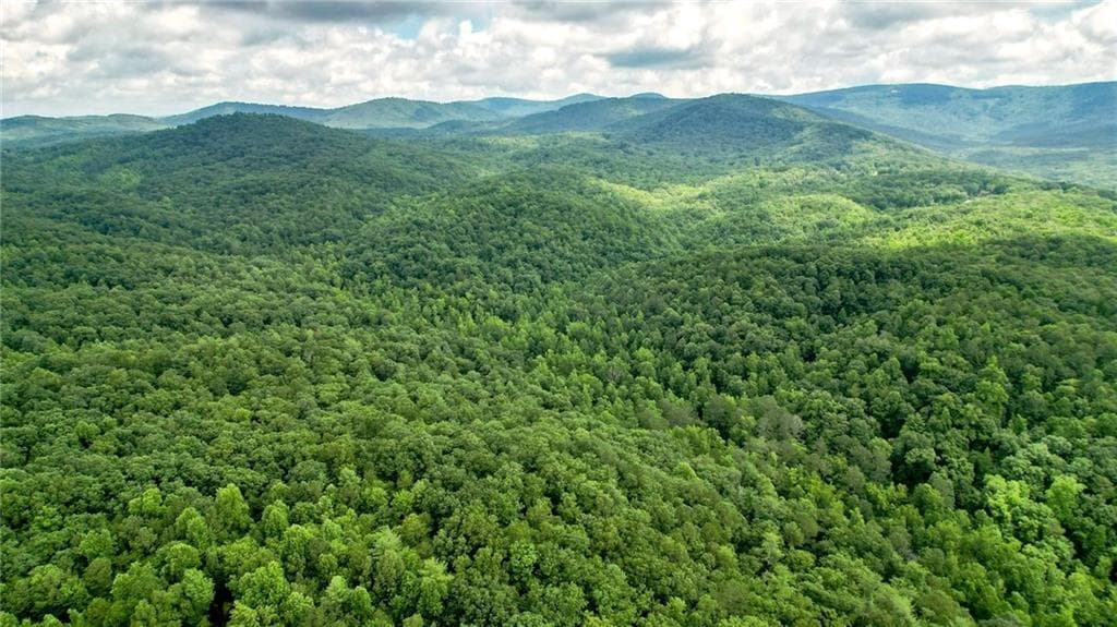 unimproved land for sale at Trt B Cascade Drive, Jasper, GA 30143 — photo 7