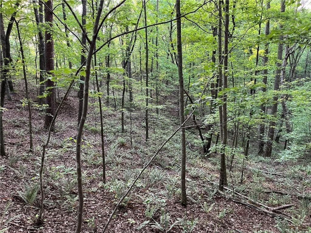 unimproved land for sale at 1720 Rebekah Ridge Road, Talking Rock, GA 30175 — photo 1 of 14